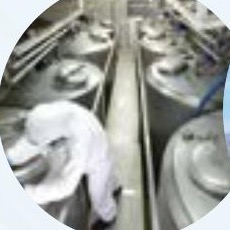Chemical Industry