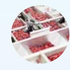 Food Processing Industry