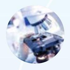 Pharmaceutical Industry